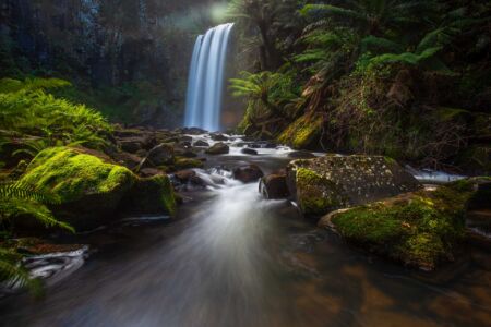 Glowing light around Hopetoun Falls in the Otways Hopetoun Falls, Otways, Great Ocean Road, waterfall, Australian Victoria