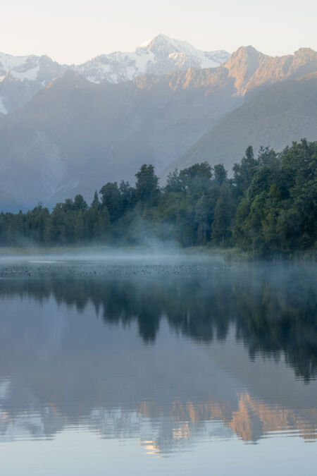 Aoraki / Mount Cook reflecting the morning light of Lake Matheson Lake Matheson, ducks, sunrise, fog, Mount Cook, Aoraki, west coast, Westland