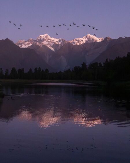 A calm evening at Lake Matheson with only the birds causing ripples on the water Lake Matheson, birds, reflections
