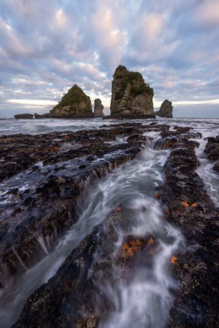 Only at low tide is the true beauty of Motukiekie rocks revealed Motukiekie, Greymouth, west coast, starfish, New Zealand