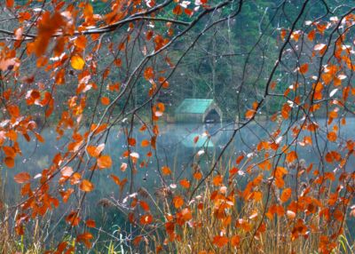 Autumn on a misty morning at Loch Ard Loch Ard, Aberfoyle, Scotland, autumn, Trossachs